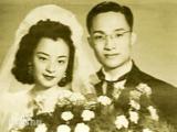 文章附图