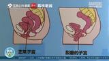 文章附图