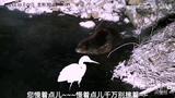 文章附图